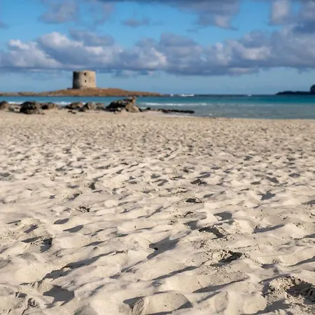 Apartment Charming Small - Bella No2081