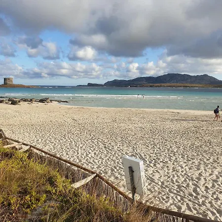 Charming Small - Bella No2081 Apartment *