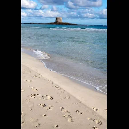 Charming Small - Bella No2081 Punta de su Torrione