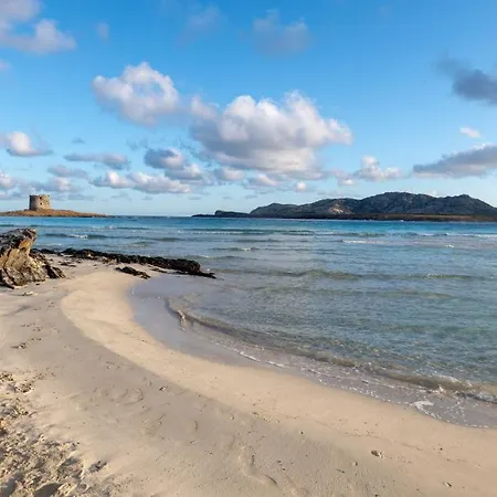 Apartment Charming Small - Bella No2081